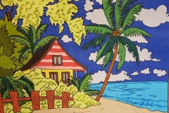 Beachfrton-homes-Donna-Norton
