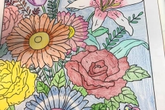 Beautiful-Flowers-Connie-Pettey