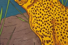 Desert-Animals-Donna-Norton