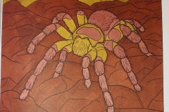Desert-Animals-Misty-Lackey-3